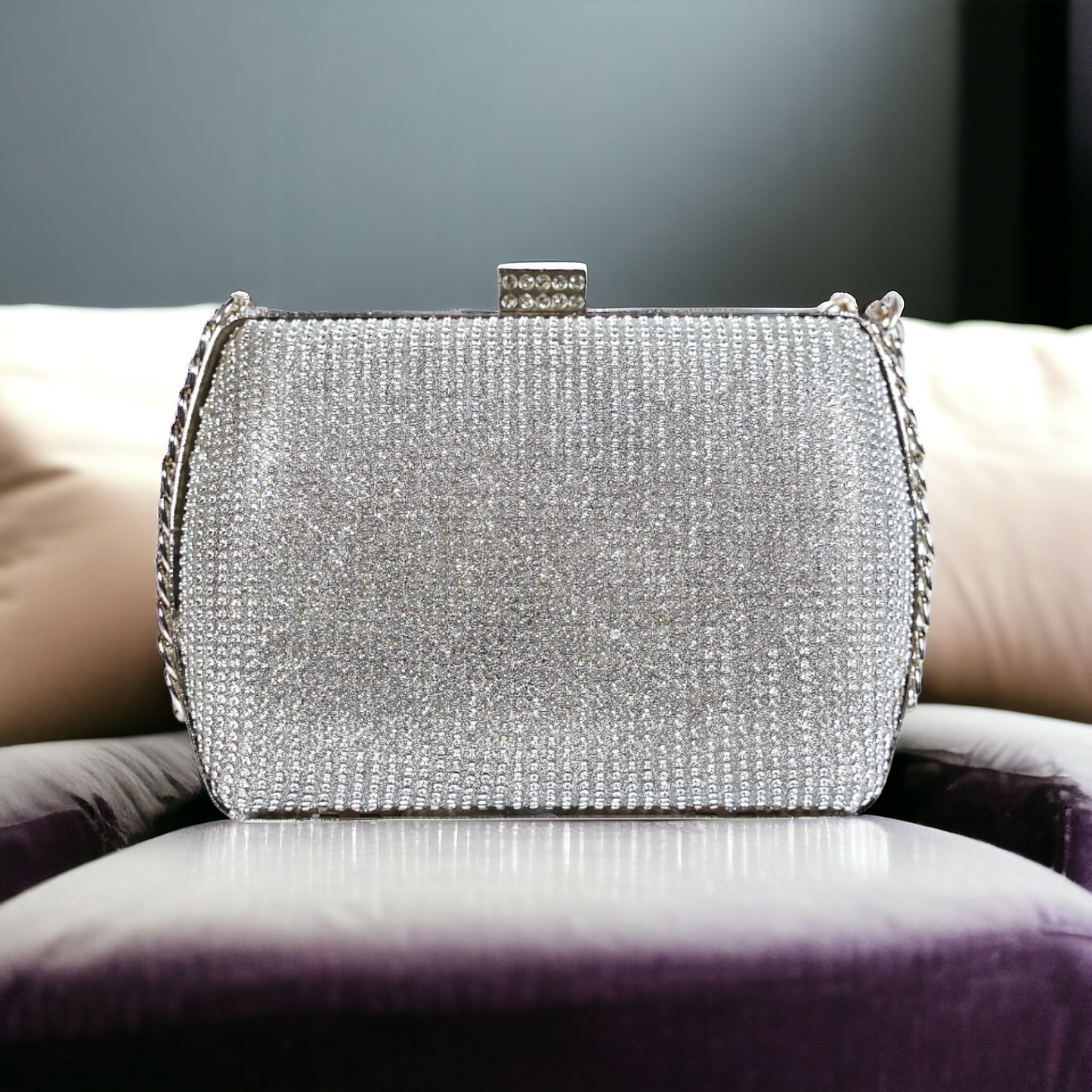 Silver Royale Purse